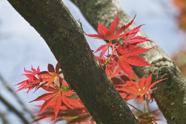 Similar image 159668