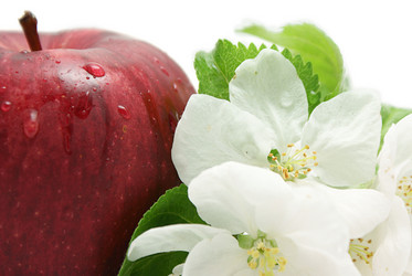 Similar image 159677