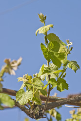 Similar image 159684