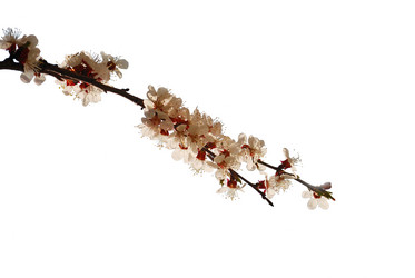 Similar image 159712