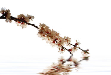 Similar image 159714