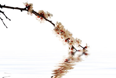 Similar image 159717