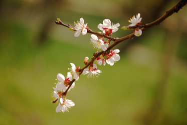 Similar image 159722