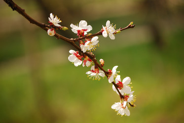 Similar image 159724