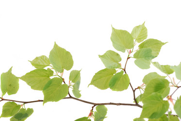 Similar image 159733