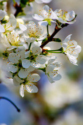 Similar image 159740