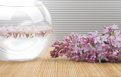 Similar image 159744