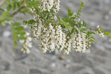 Similar image 159758