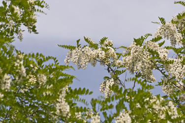 Similar image 159759