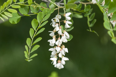 Similar image 159760