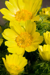 Similar image 159769