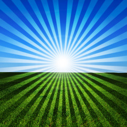 Similar image 159777