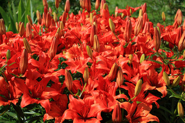 Similar image 159789