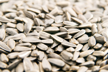 Similar image 159790