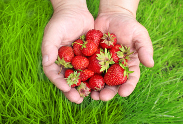 Similar image 159802