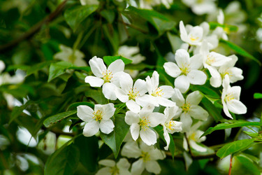 Similar image 159803