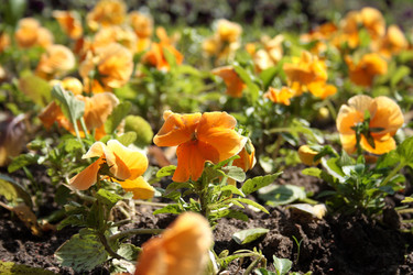 Similar image 159805