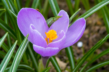 Similar image 159807