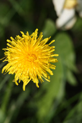 Similar image 159808