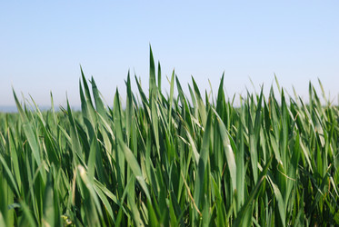 Similar image 159811