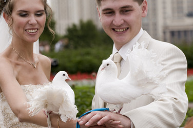 Similar image 159816