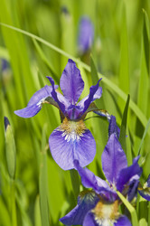 Similar image 159829