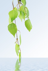 Similar image 159843