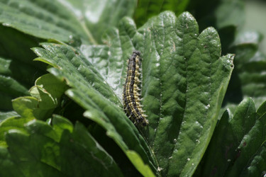 Similar image 159851