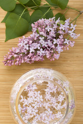 Similar image 159858