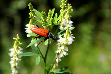 Similar image 159880