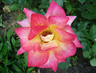 Similar image 159882