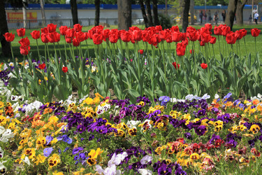 Similar image 159887