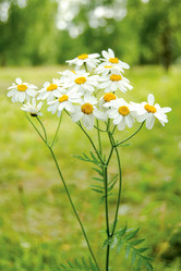 Similar image 159890