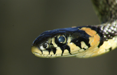 Similar image 159898