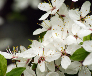 Similar image 159899