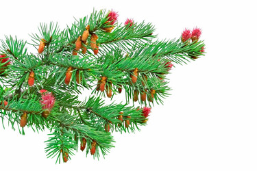 Similar image 159908