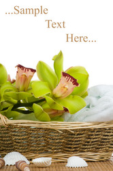 Similar image 159926