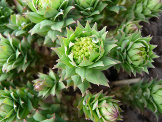 Similar image 159930