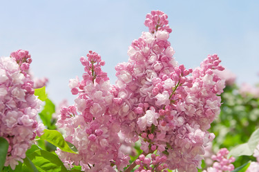 Similar image 159935