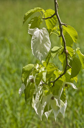 Similar image 159937