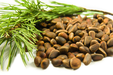 Similar image 159942