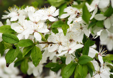 Similar image 159946