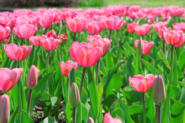 Similar image 159947