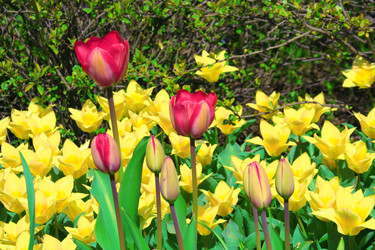 Similar image 159948