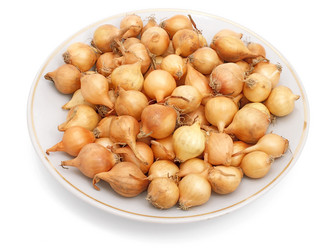 Similar image 159982