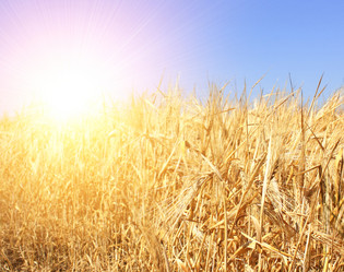 Similar image 159984