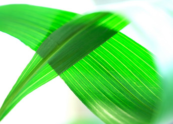 Similar image 159999