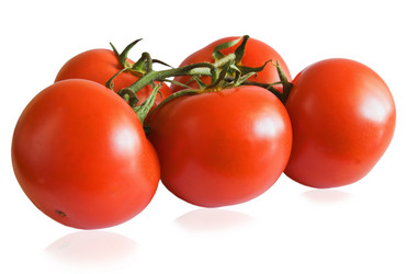 Similar image 160005