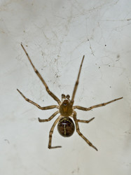 Similar image 160014