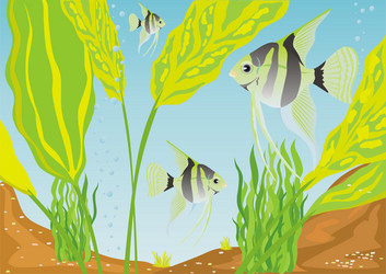 Similar image 160022